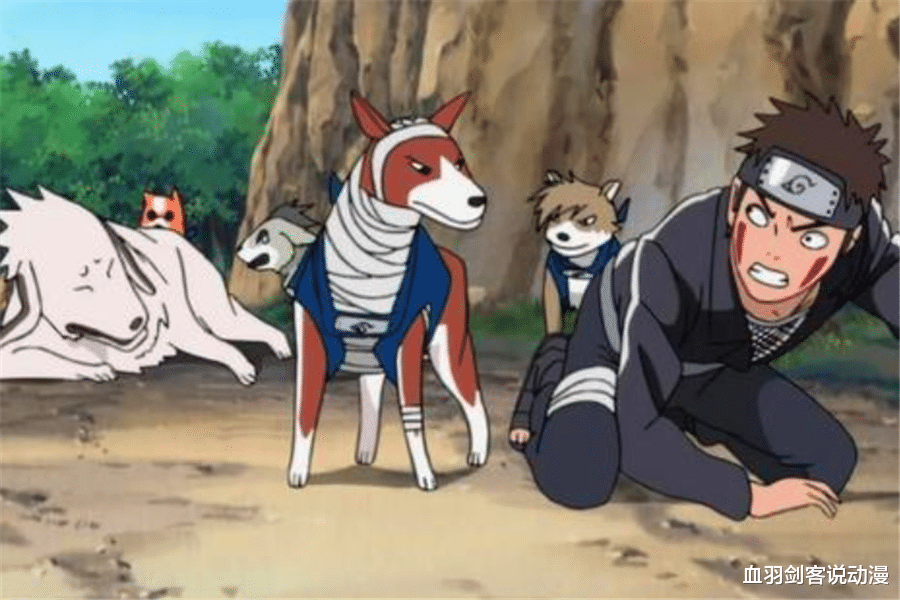 火影忍者|火影忍者中24个家族各族出现过的最强者都是谁?很多家族都是龙套