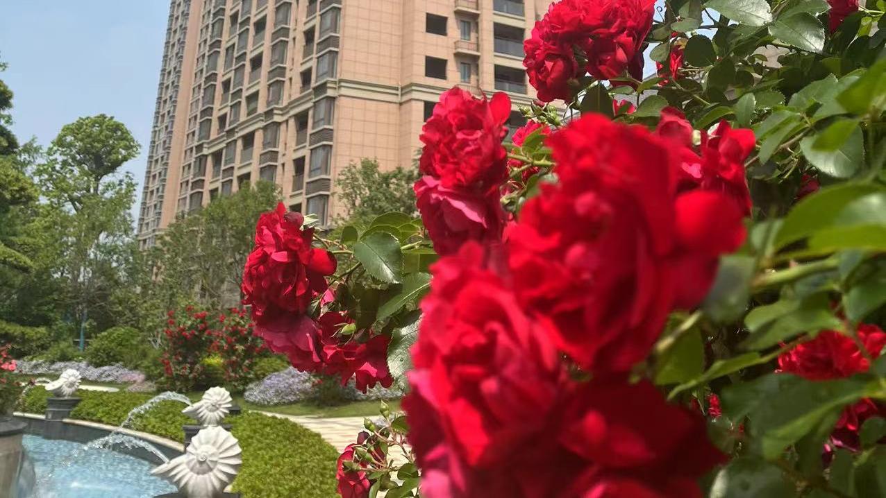 【销售故事】买房买的是家，不能光图便宜