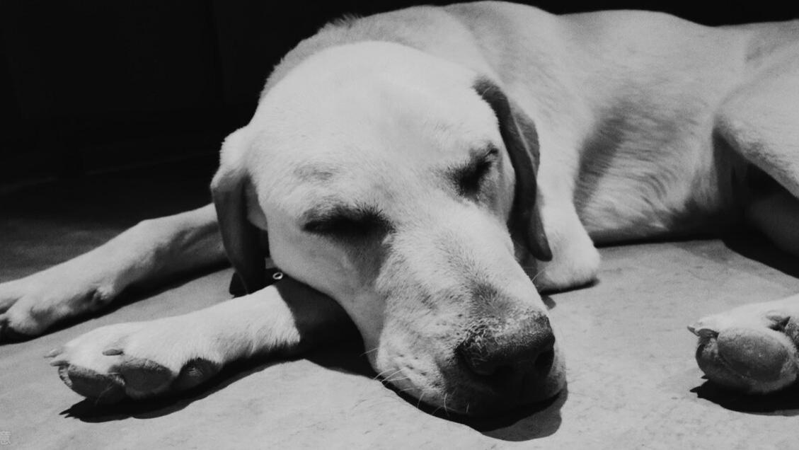 格调不够黑白来凑！黑白照片怎么拍？这4个摄影技巧你要会