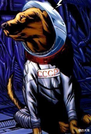 漫威|漫威萌宠大挑战，大多数人都认不全，你能认出几个？