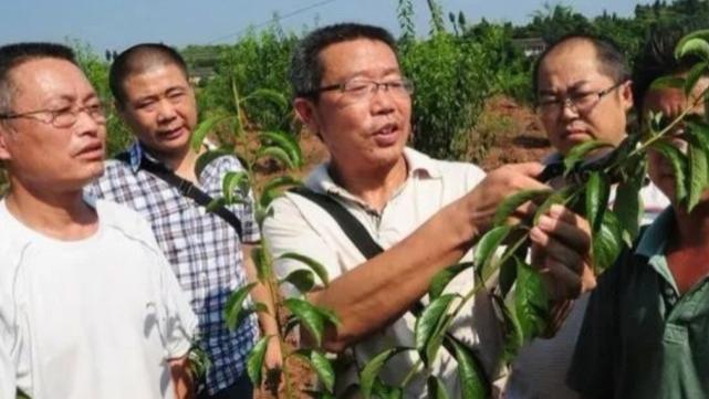 农村见闻|农村未来有5个发展前景的职业，“无人机飞手”就很好！