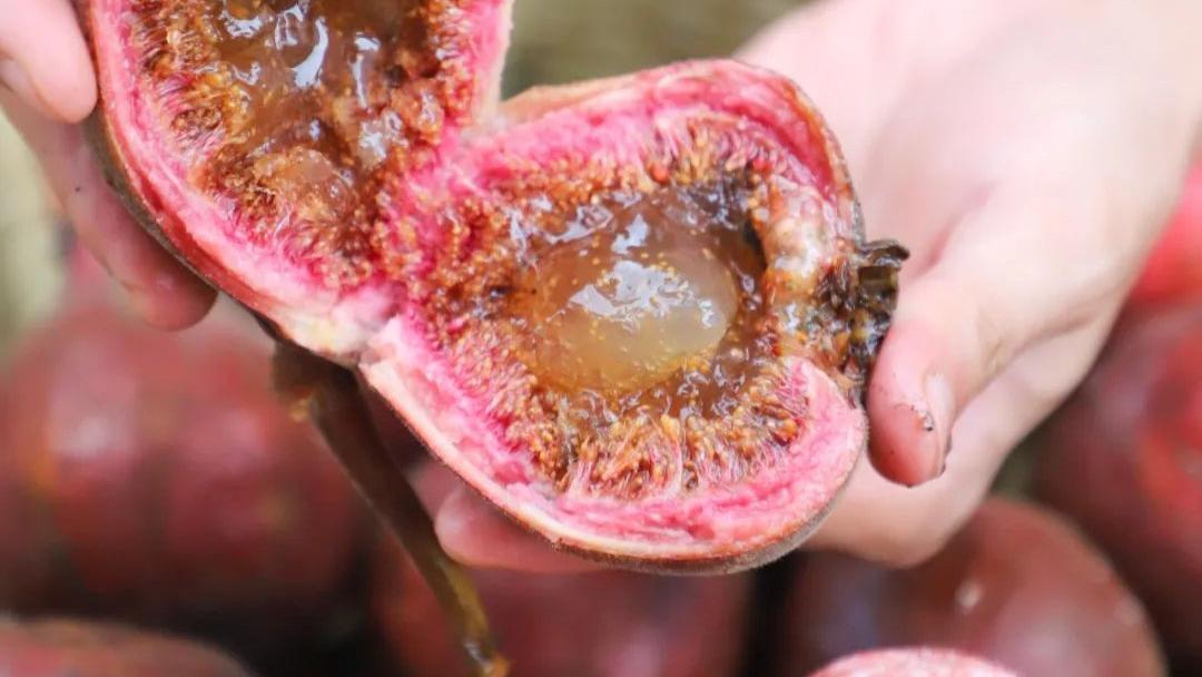 水果|8月份应季水果汇集！8月份吃这12种水果更适宜，水果控们别错过