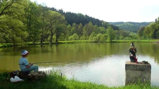 池塘|黑坑老板是不是很黑？掌握以下这些方法，黑坑钓草鱼也不难