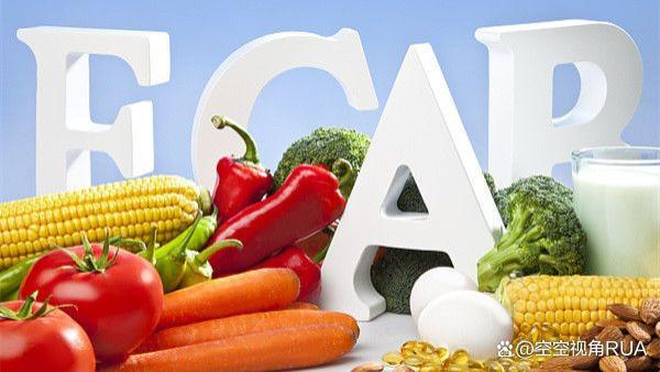 人为什么需要维生素？