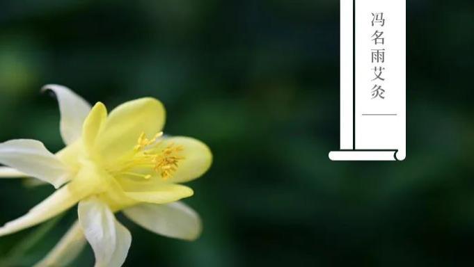 心血管疾病|排毒：最排毒的穴位是什么？教你排出食毒、气毒、水毒、血毒