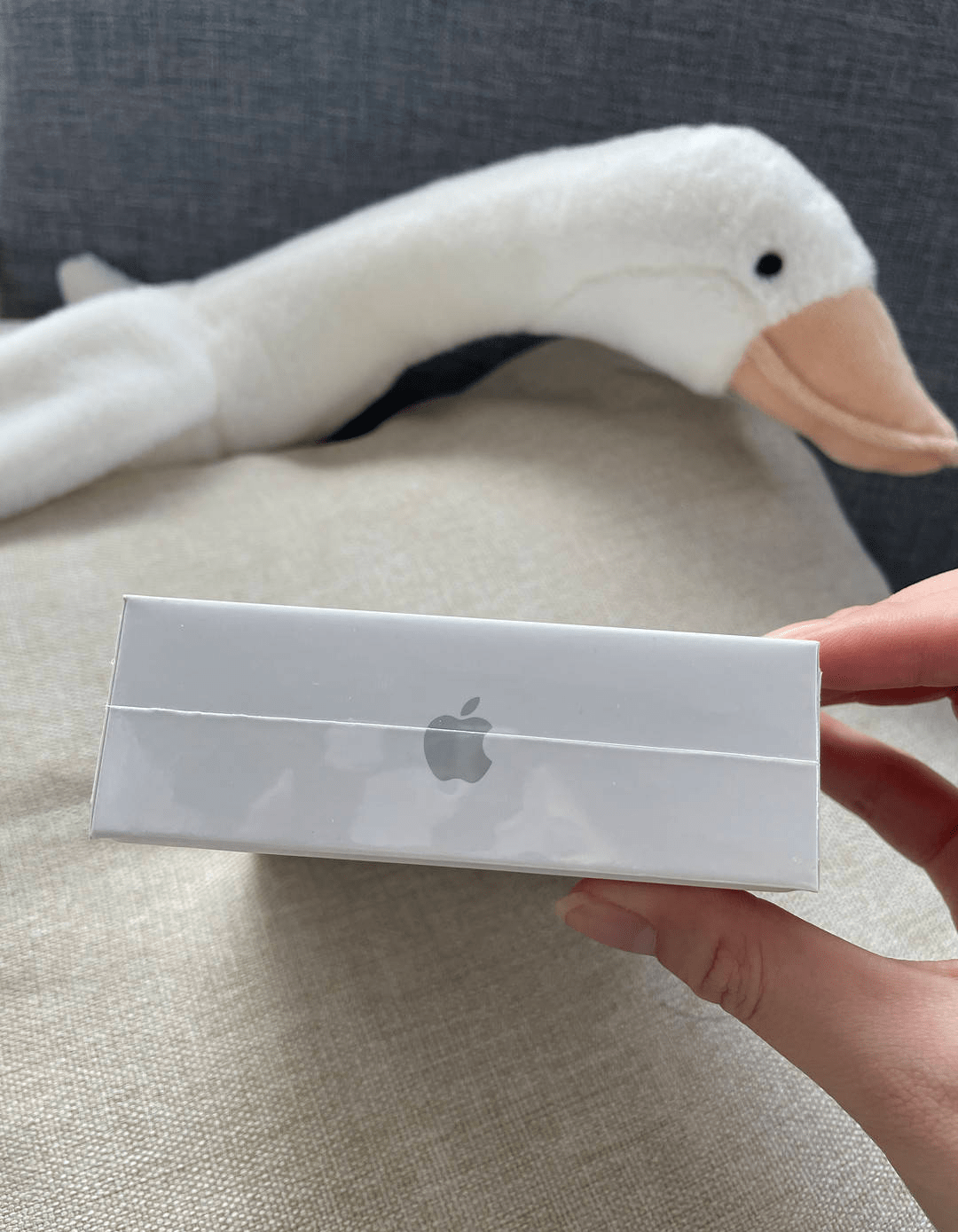 显卡|苹果耳机air pods附上贴心小技巧的开箱体验，别错过喔~