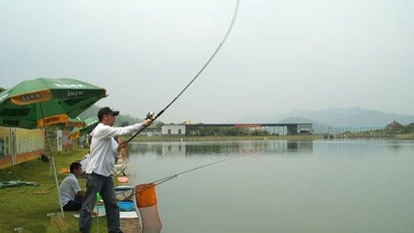 饵料|钓鱼经常被大家忽略的三个“小毛病”，一般很少有人重视