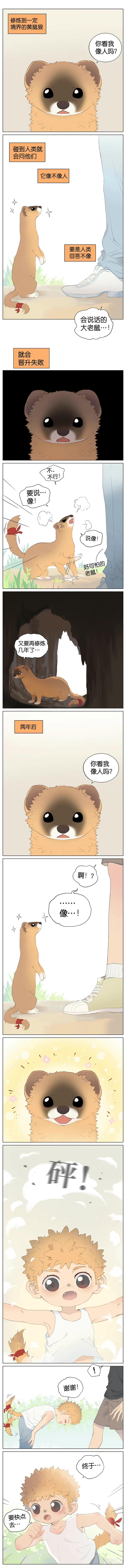 艾尼路|「短篇漫画」黄鼠狼的报恩