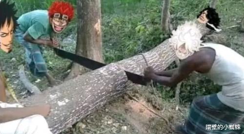 敖烈|海贼王1054话：红发行动了！onepiece的“霸权争夺战”正式打响