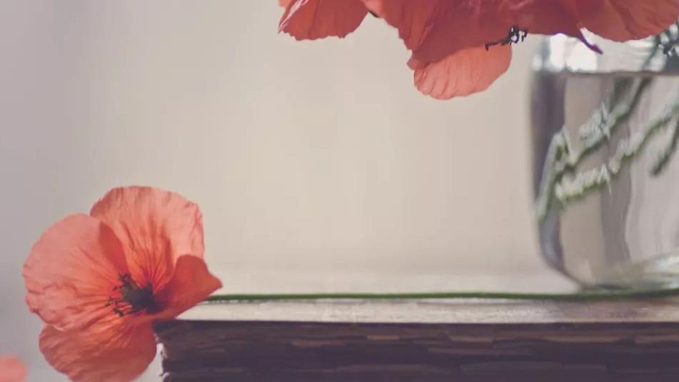 资产配置|你的选择，决定你的财富