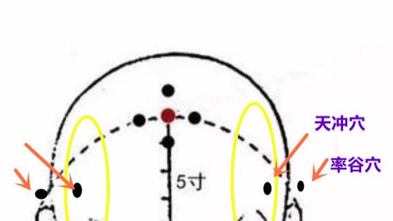经络|老年人得新冠肺炎不容忽视