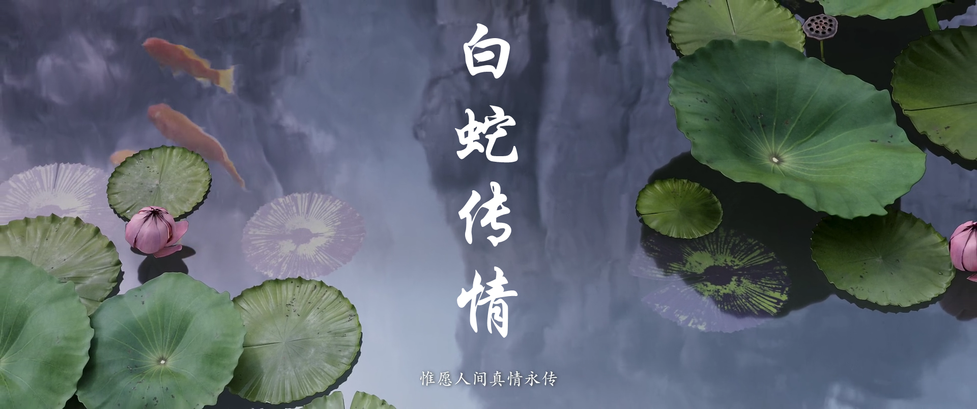 白娘子|大鱼海棠和白蛇传，何其相似的内容情节，为何口碑却天差地别