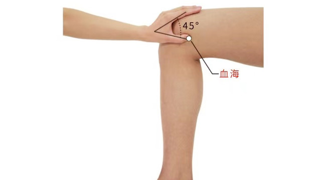 穴位|经络穴位，一日一学——血海，祛瘀血生新血，调经统血的人体大穴