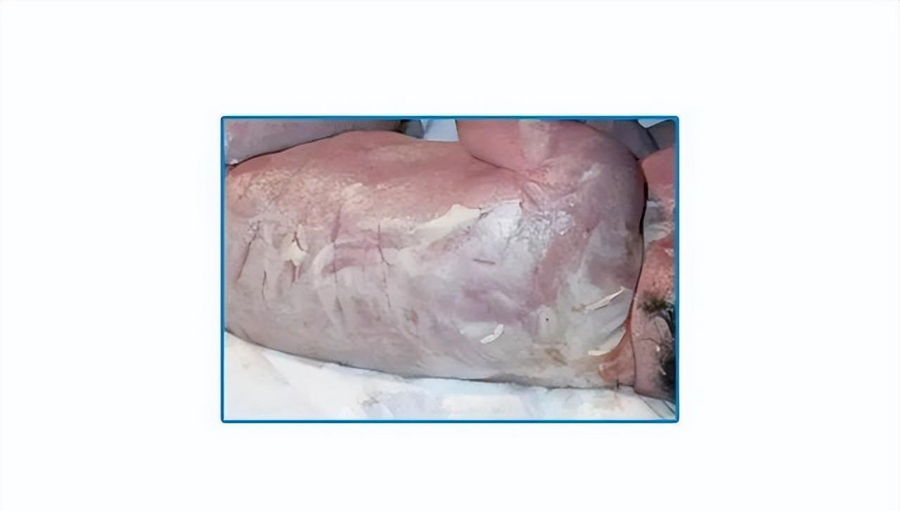 漫画|女生闻到的男人味,究竟是什么味道?漫画揭秘