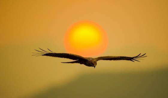 漫画|真正成大事的人，能力不是唯一，这3种大格局者，注定是人上人！