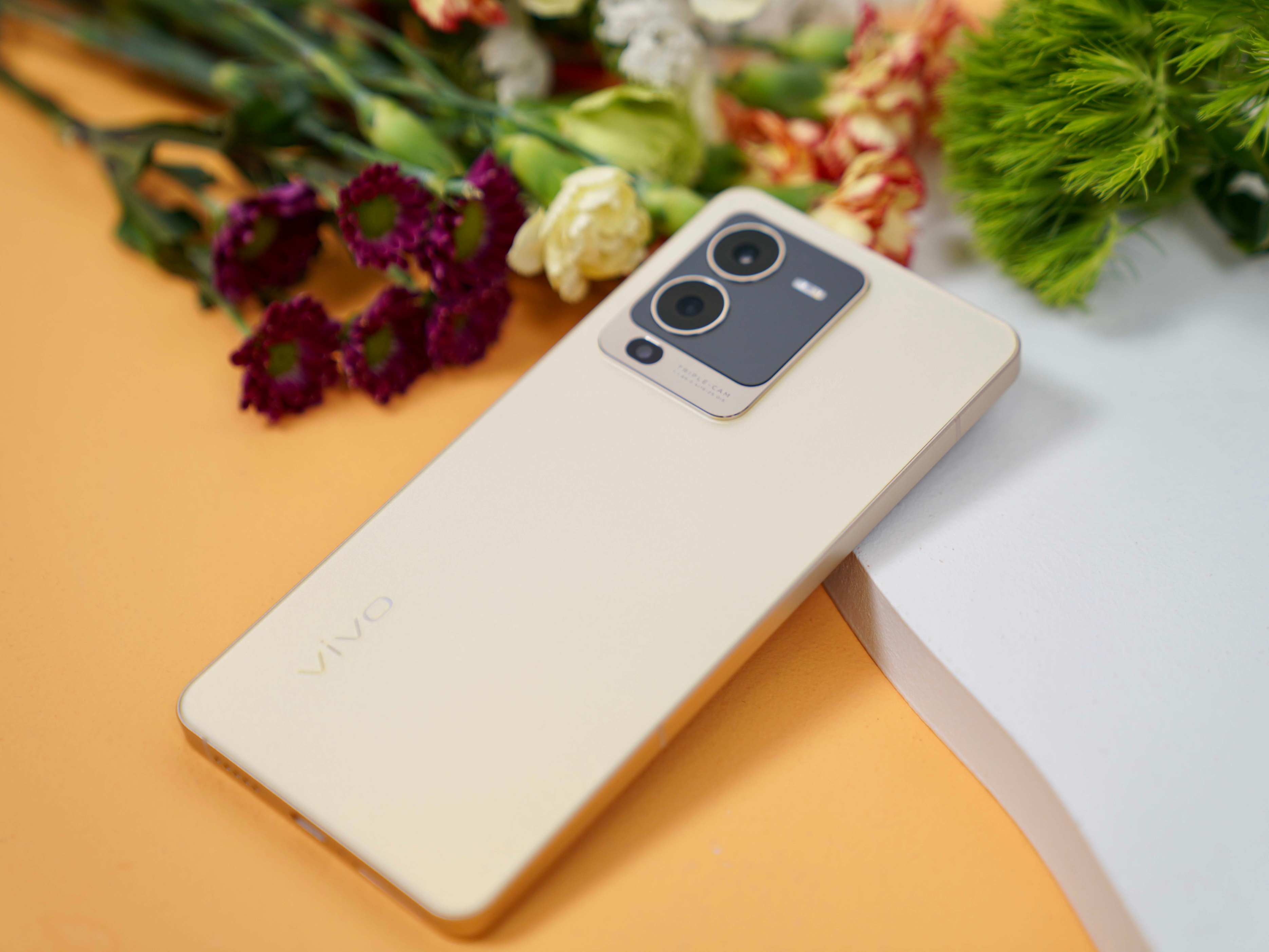 摄像头|vivo S15评测：迈进盛夏走向巅峰，影像配置哪哪都好