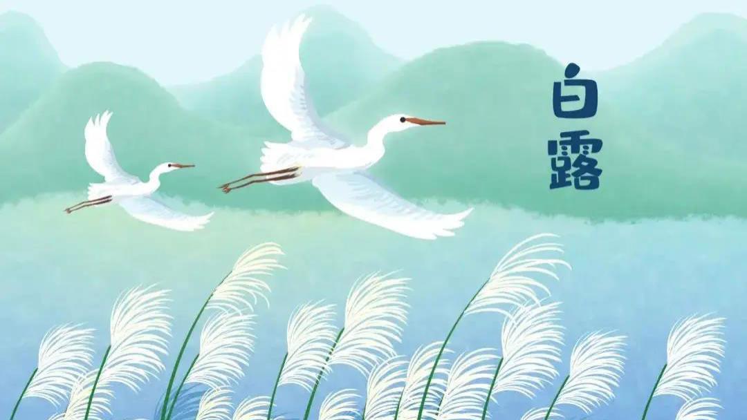 山药|明日白露，记得吃“蒸3白，煮3白”，忌3白，温阳益气，精神度秋