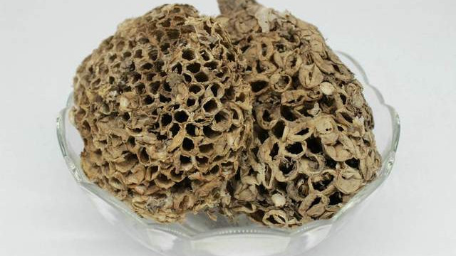抗癌|分享抗癌中药——蜂房，功效祛风止痛、功效消肿、杀虫止痒