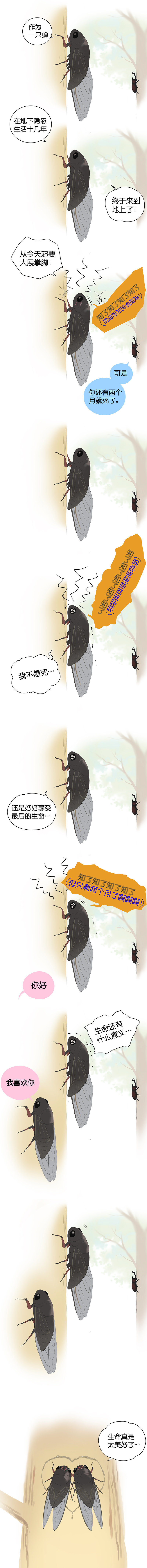 火影忍者|【漫画】享受最后的生命