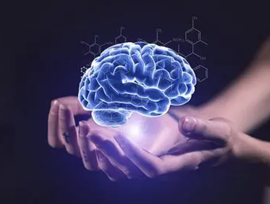 机器人|“妻子机器人”仅售十万元，除了生孩子什么都能做？是不是真的？