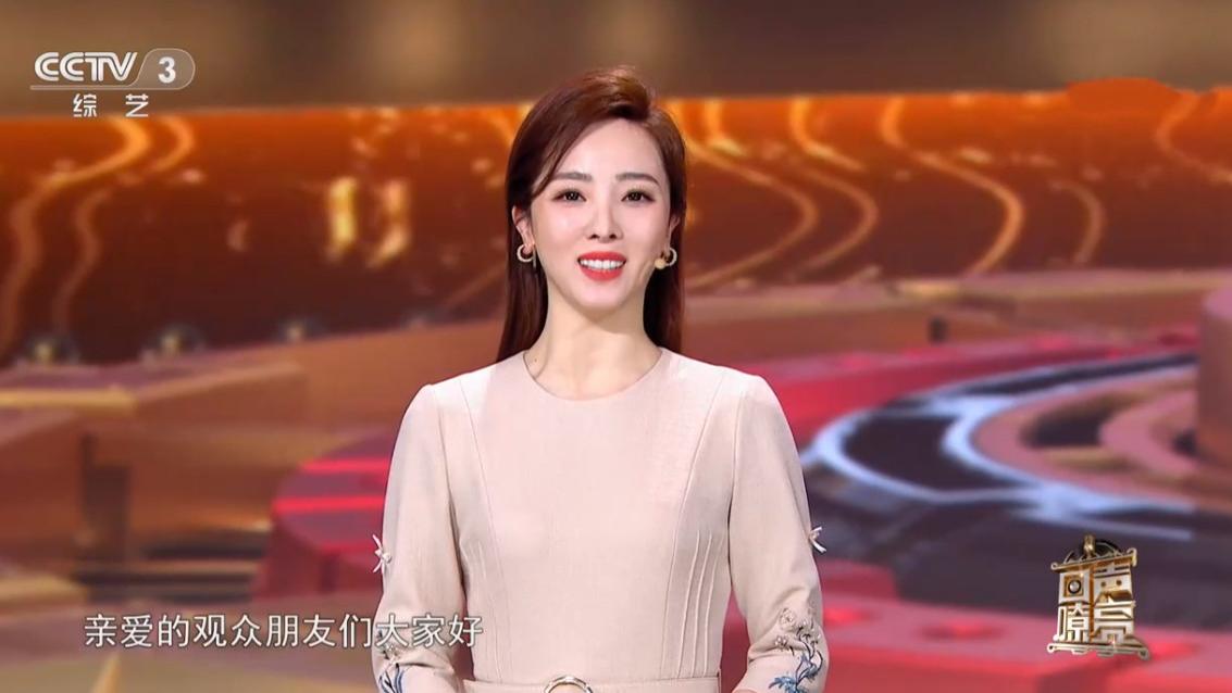 李思思|离开《回声嘹亮》，央视主持人李思思何去何从？