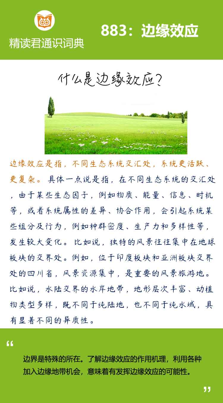 不同生态系统交汇处，系统更活跃