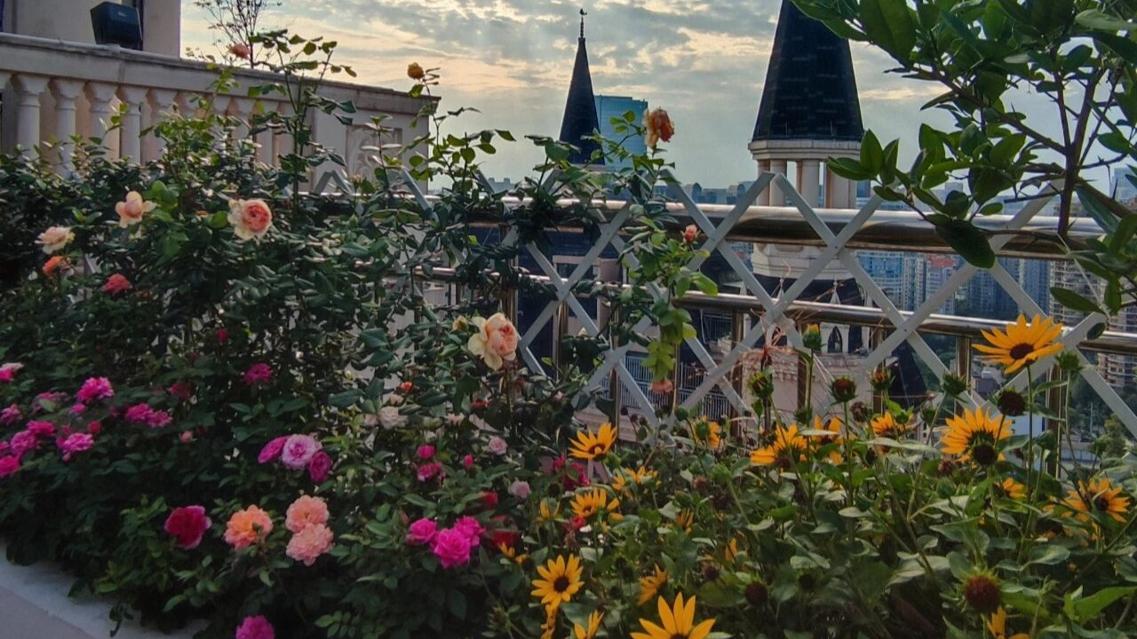 买了33楼顶楼跃层，赠送15㎡露台，自己打造成空中小花园，太美了