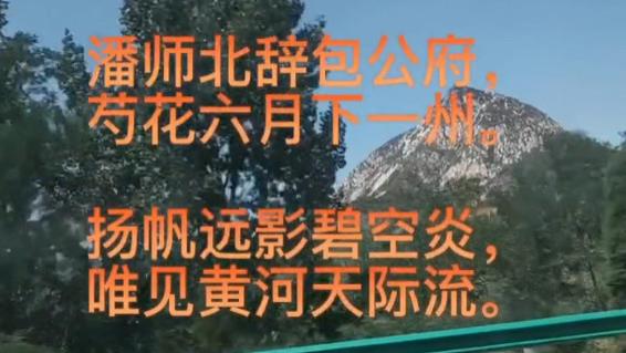 杜新枝|李圣还原杜新枝二审现场，直言被架走太丢人，潘克再下一城查真相
