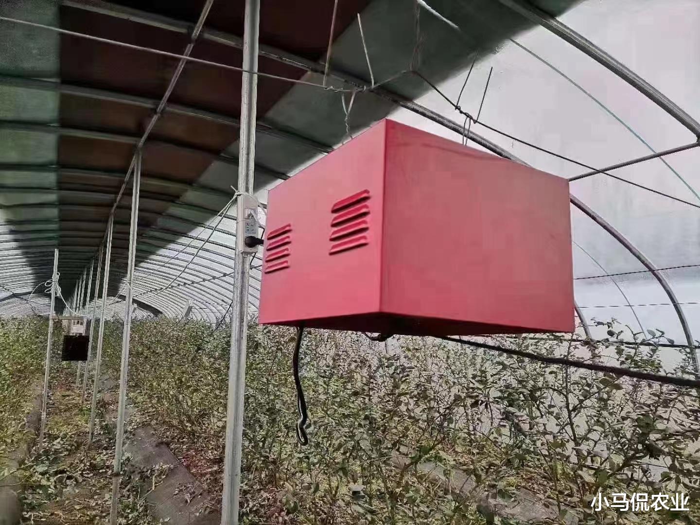 荣耀|国产智能大棚总成本比国外低80%，一部手机无人管理，效益提升8倍