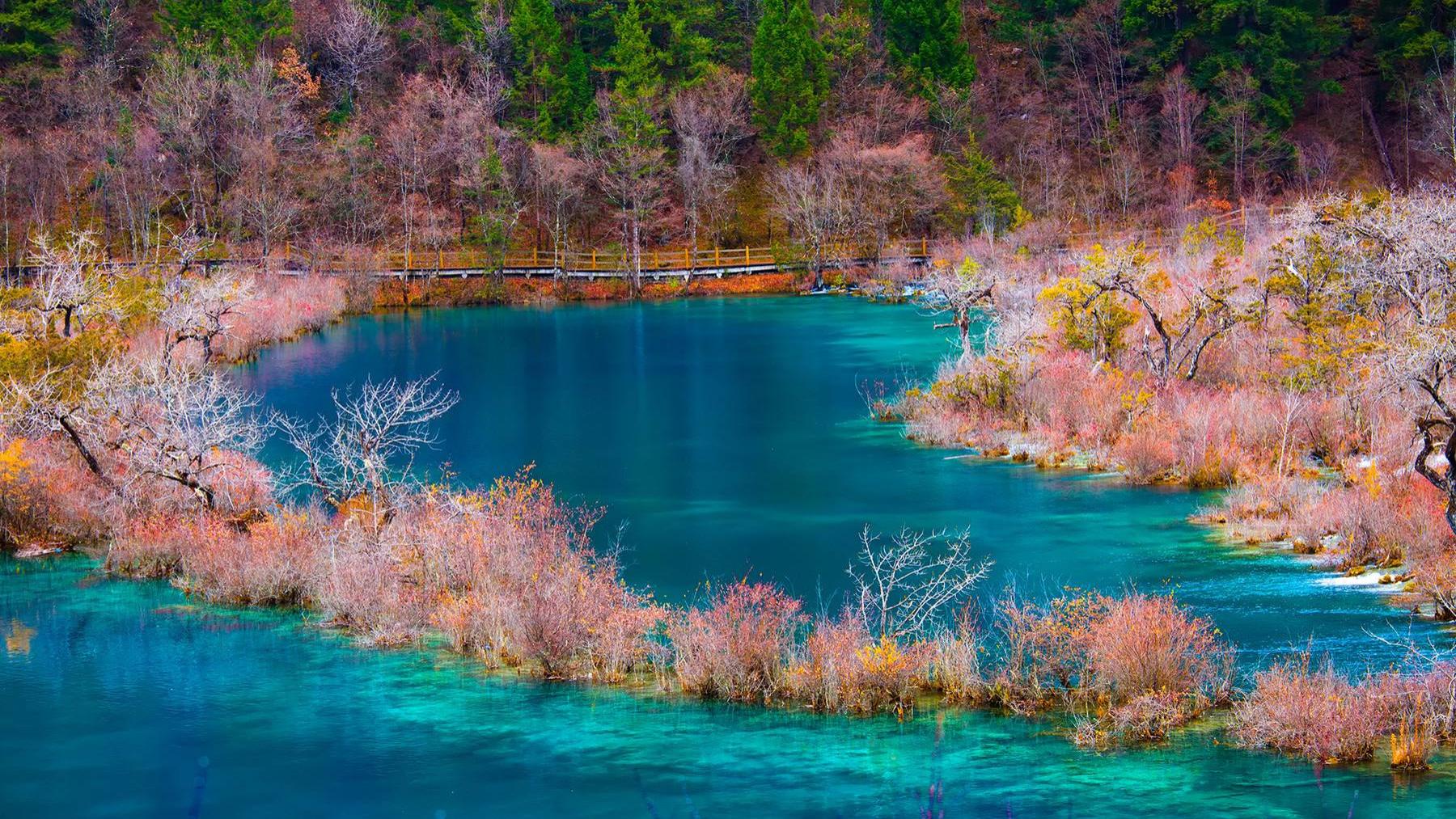 四川省|四川一个适合春天去旅游的景点，是国家级自然保护区