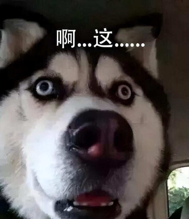 |“外卖员的时间没有程序员值钱”:读过书就把自己当人上人?得电