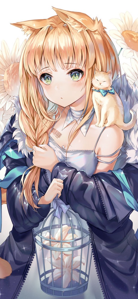 海贼王|动漫壁纸,今日也来分享