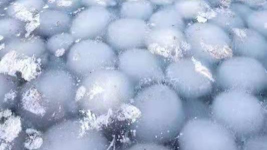 华山|罕见奇观：吉林四海湖首次惊现“冰汤圆”大自然到底要告诉我们什么？