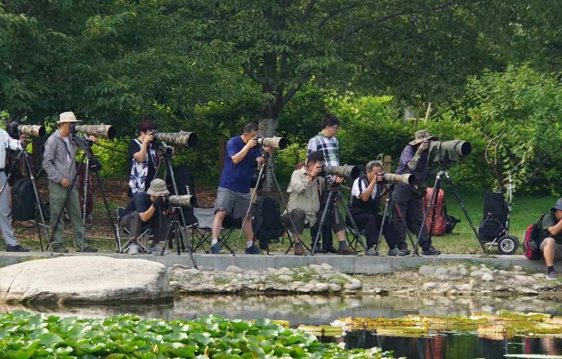 电子商务|摄影短视频爱好者必看|三脚架、手机套装、补光灯使用体验