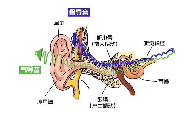 耳机|什么是气传导耳机? 骨传导和空气传导谁更好听