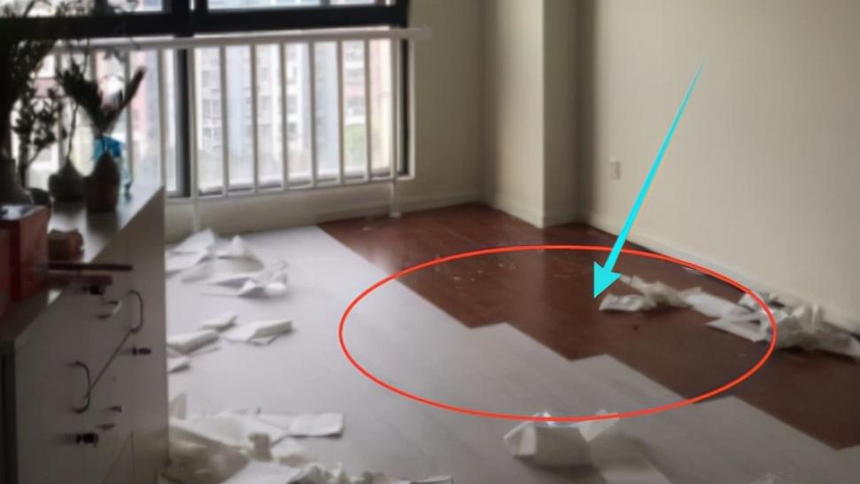 网购的“它们”，能把出租屋变成“毒气屋”！为健康尽量别用