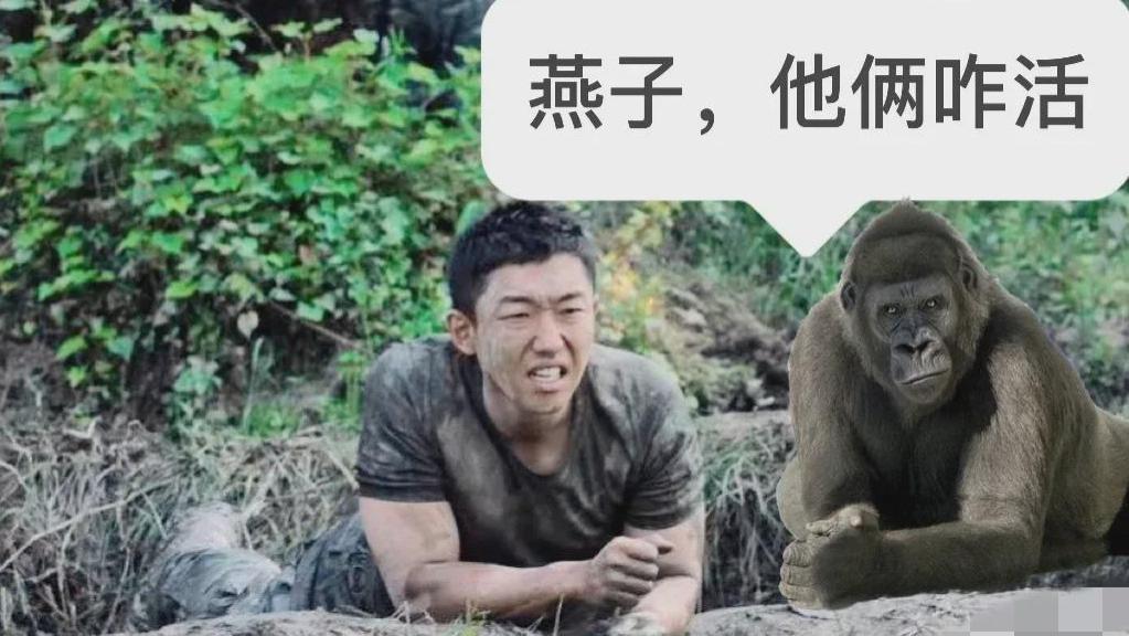 特战荣耀|特战荣耀：萧云杰拿的是女主剧本吧！出身演员世家的他是个星三代