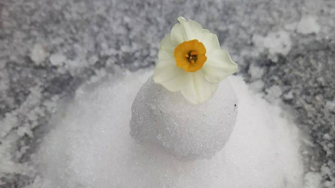 厦门的冬天安安静静，却在春天下雪了，一座让人摸不着头脑的城市