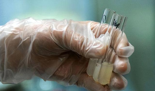 iPhone|11年过去，当初卖肾买iPhone的那个17岁高中生，后来怎么样了？