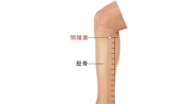 中毒|经络穴位，一日一学——阴陵泉，小便不利的救星！
