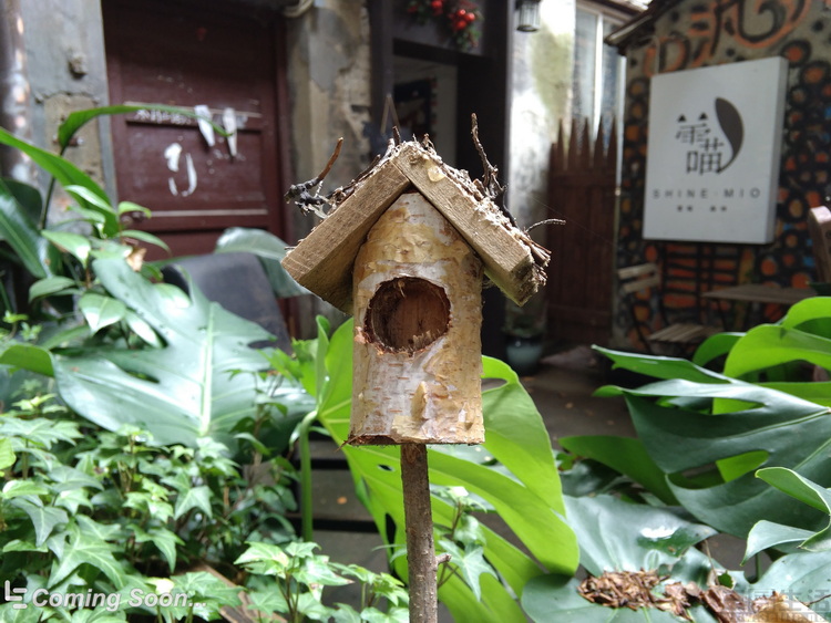 苹果|窘迫但依然可敬：测一台你从未见过的乐视手机