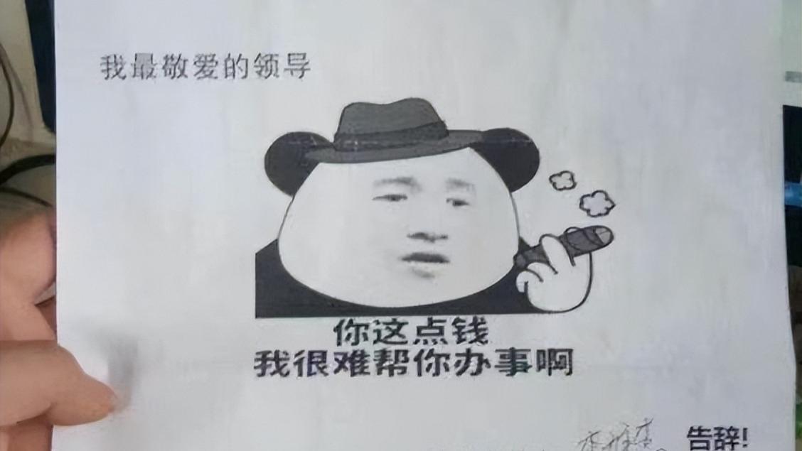 00后|“就是这么任性”，00后硬核整顿职场，辞职信更是让老板看呆了