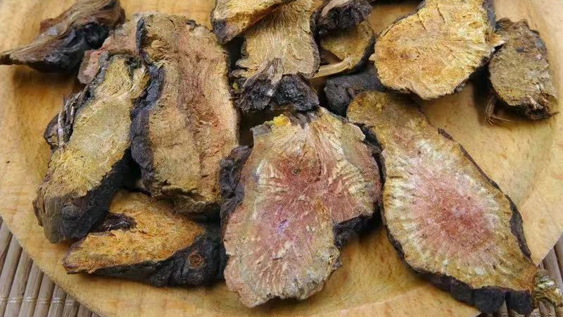 肾病|分享一味抗癌良药——地榆，凉血止血、解毒敛疮，配伍应用效果佳