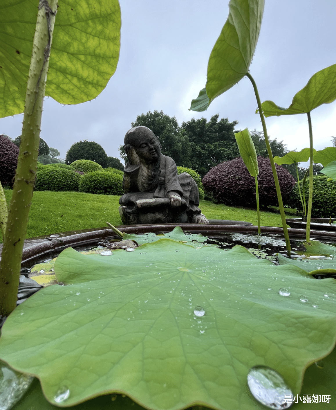 iphone13|iPhone13价格重回新低,七夕降价千元,果粉又可以冲了!