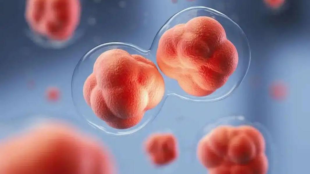 山药|癌症晚期，黄芪搭上“它”每天喝，让我带瘤生存10年