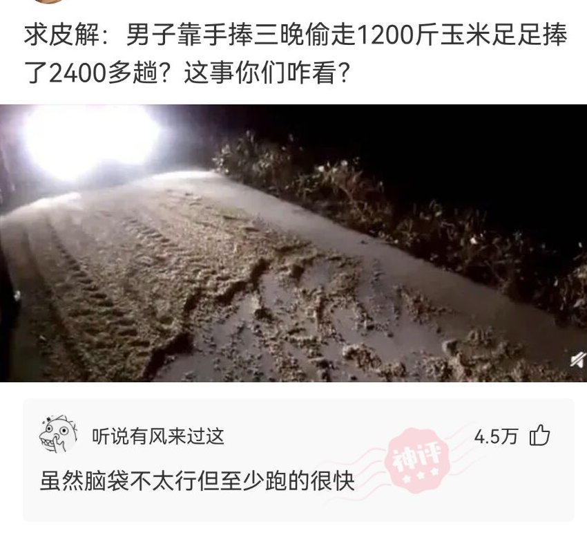 神回复|神回复:路上撞了一个大姐,我应该怎么办啊?神评方案绝了