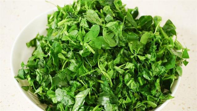 苜蓿|这菜是肠胃的“清洁器”，隔三差五吃点，润肠通便，常吃好吃多