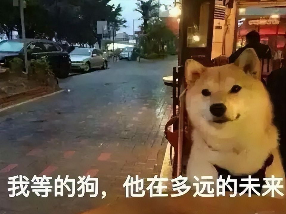 ж棿Ϸ̷ŮѺţñ˼άͼ
