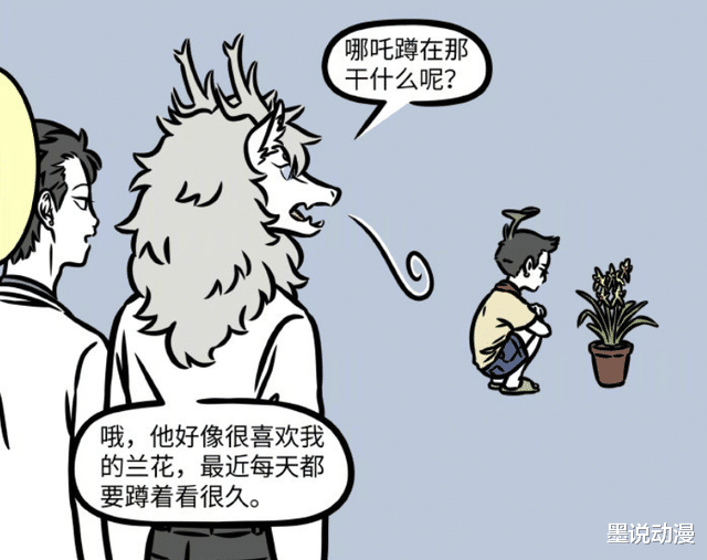 哪吒|非人哉：观音养兰花，哪吒经常和它吵架，龙女不会养多肉植物