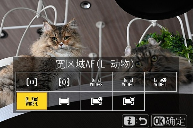 尼康|万元价的全幅微单,尼康Z6 ii,老法师觉得如何?